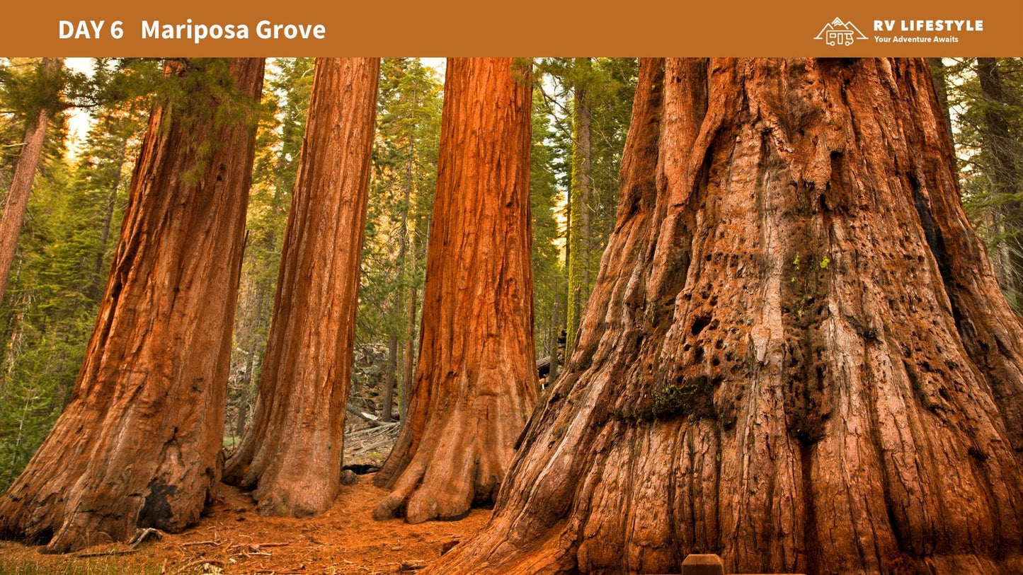 The Ultimate RV Guide to Yosemite National Park