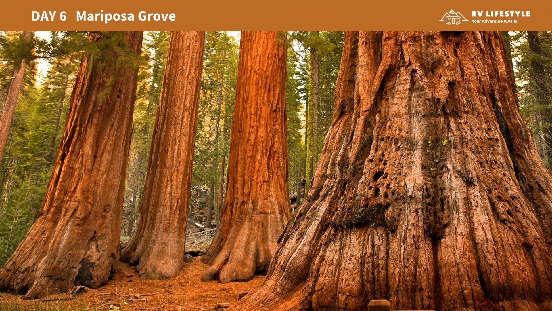 The Ultimate RV Guide to Yosemite National Park