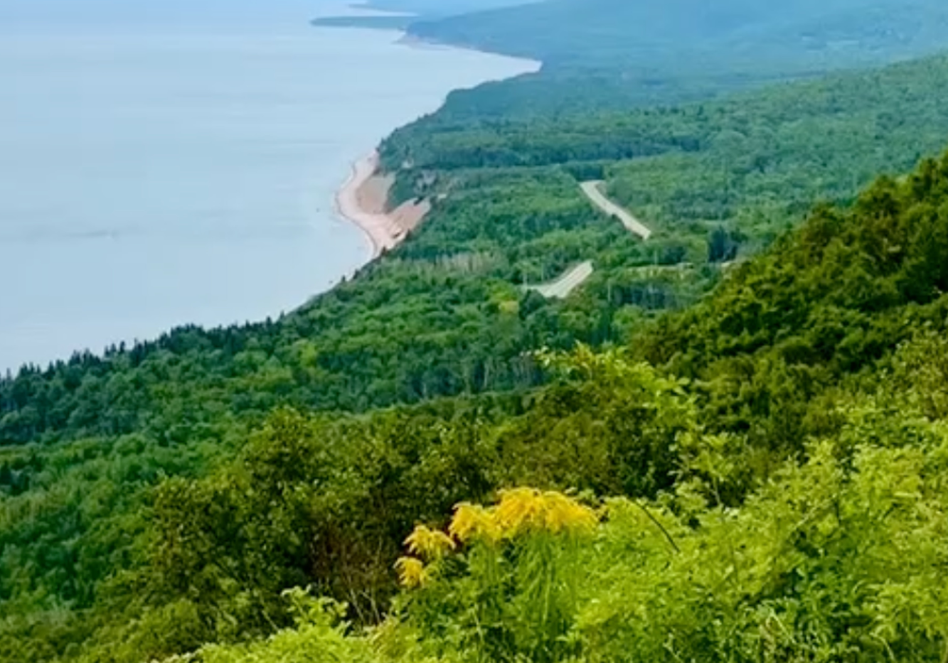 view.png