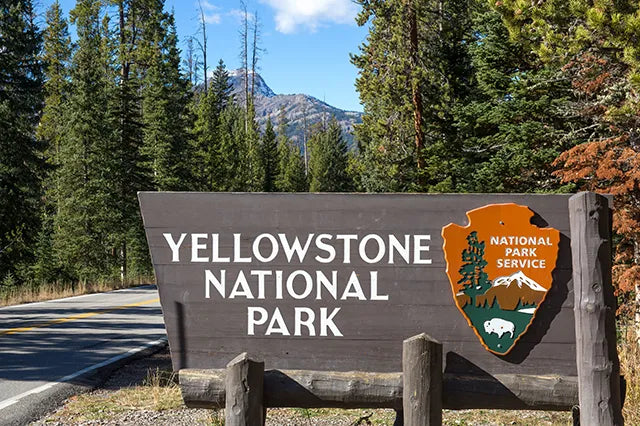 yellowstone-national-park.webp
